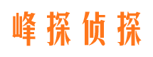 桑植市私家侦探